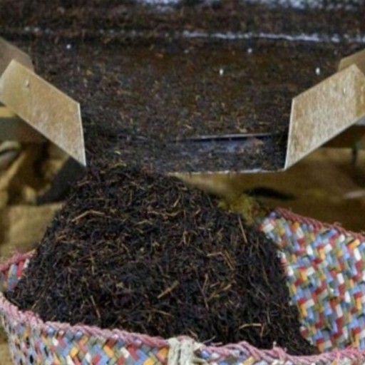 چایی ممتاز گیلان درجه یک1400 در بسته های نیم کیلویی