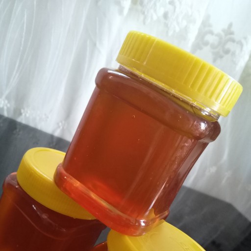 عسل طبیعی سبلان (نیم کیلویی)