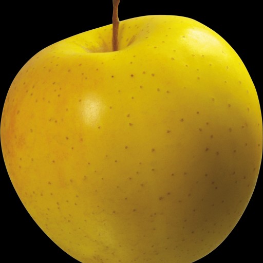 سیب زرد بدون پوست و هسته 500گرمی گیلانار