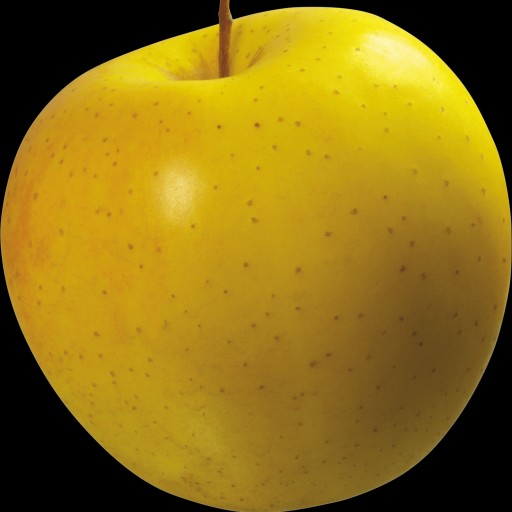 سیب زرد بدون پوست و هسته 500 گرمی گیلانار