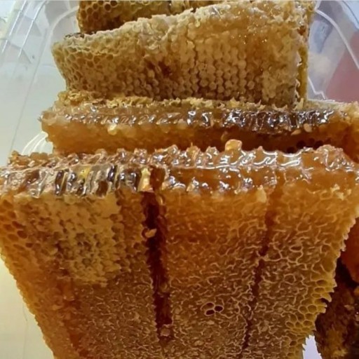 عسل طبیعی بابونه موم دار2کیلویی(عسل فروشی اسمعیلی)