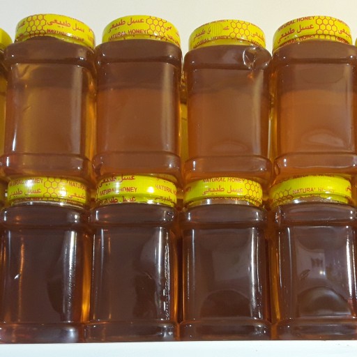 عسل طبیعی نیم کیلویی درجه یک ساکاروز 2