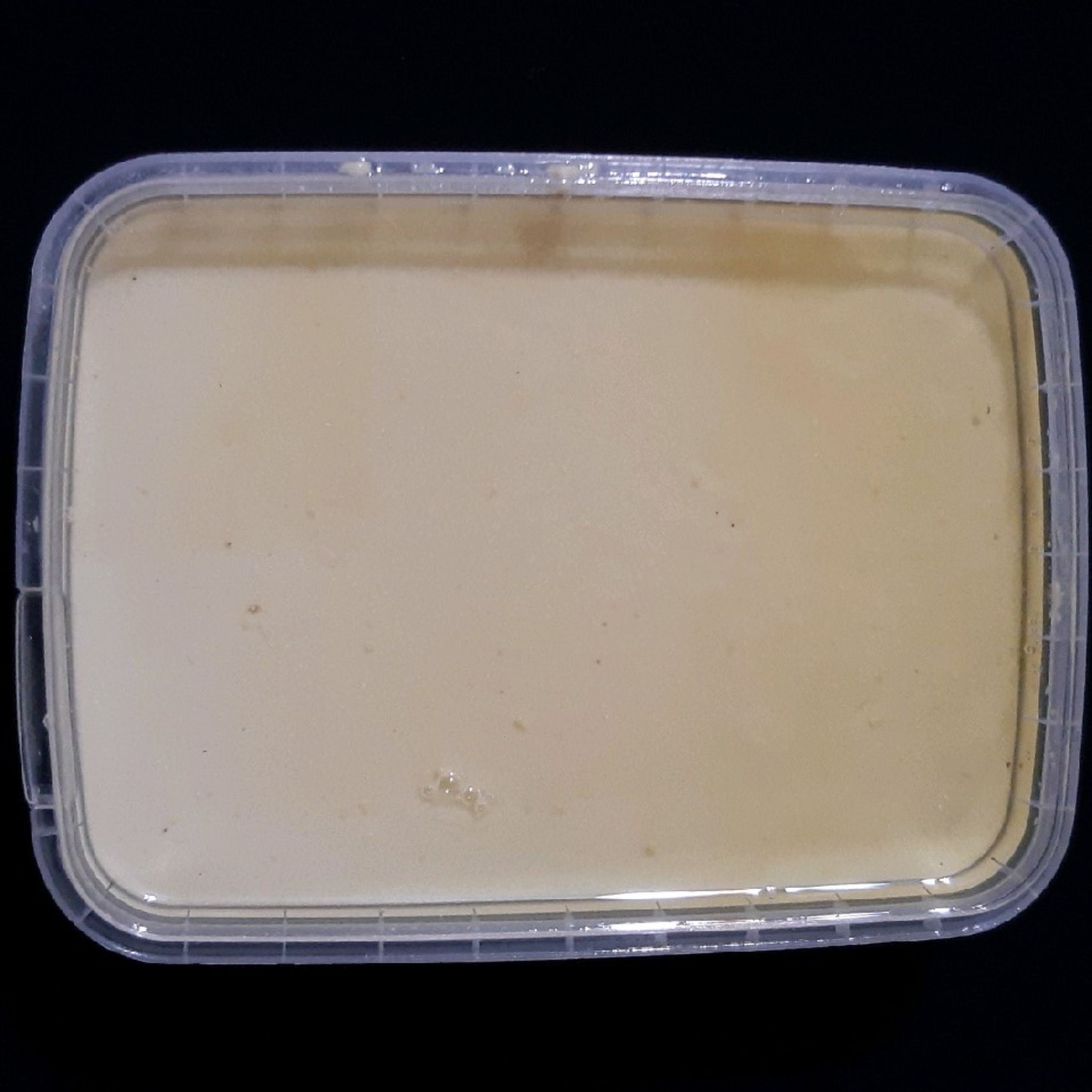 توضیحات تصویر