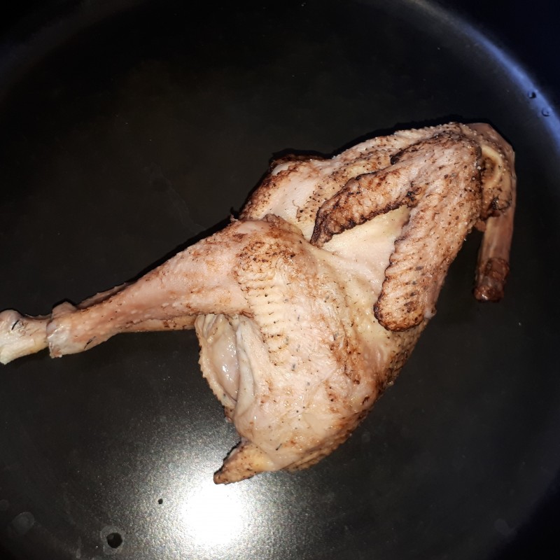 جوجه مرغ محلی (دانه ای)