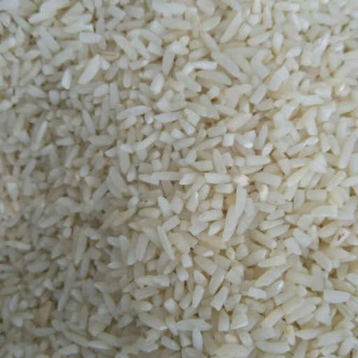 برنج نیم دانه شیرودی