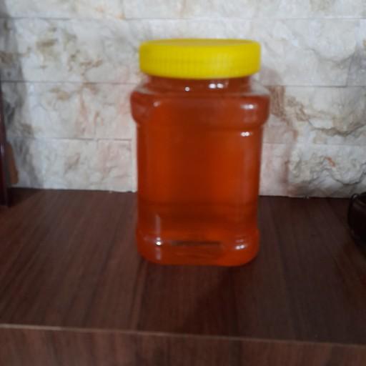 عسل کوهی مخلوط (خارشتر و اویشن و گلگاوزبون) (500 گرمی)