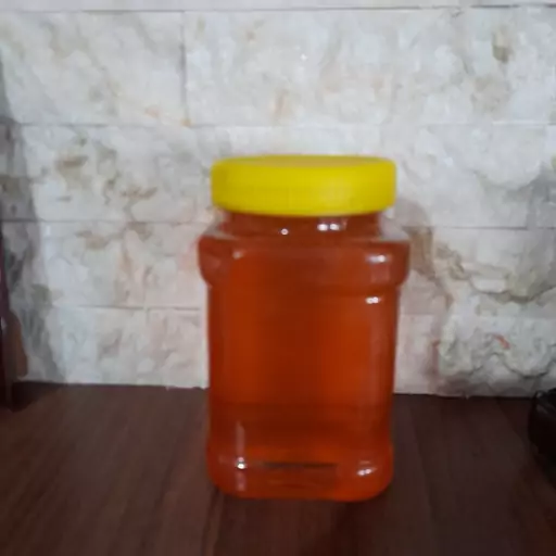 عسل کوهی مخلوط (خارشتر و اویشن و گلگاوزبون) (500 گرمی)