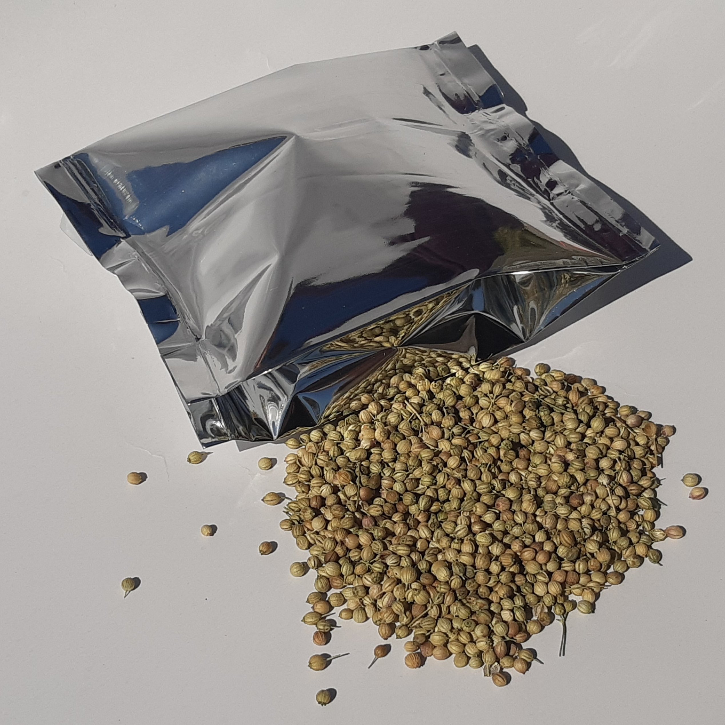 تخم گشنیز 100گرم چاشنی خاتون