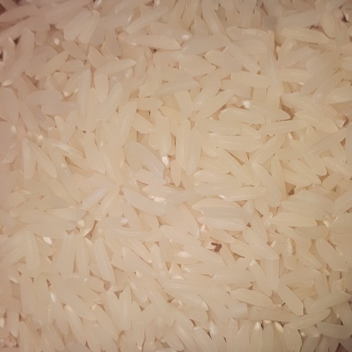 برنج طارم دم سیاه مینودشت