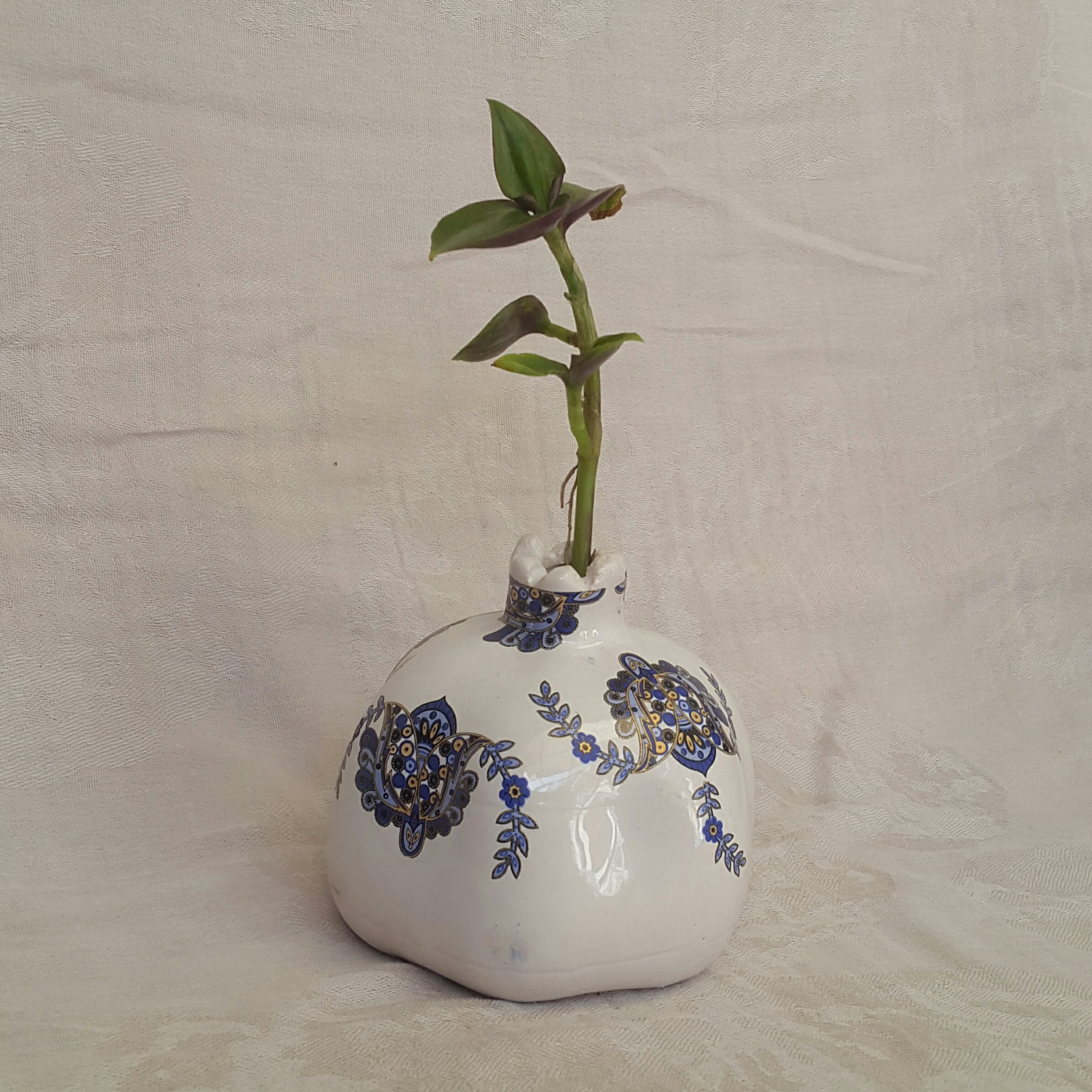 توضیحات تصویر