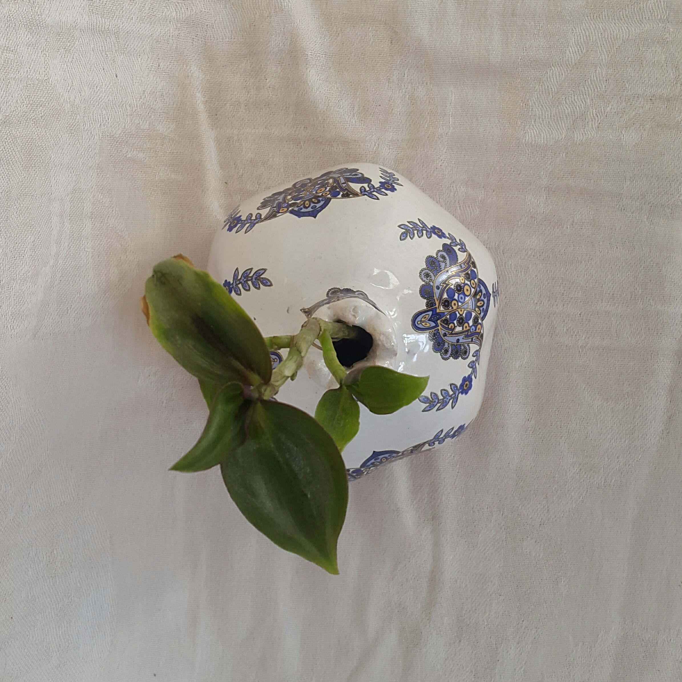 انارسرامیکی کد 2 پس کرایه