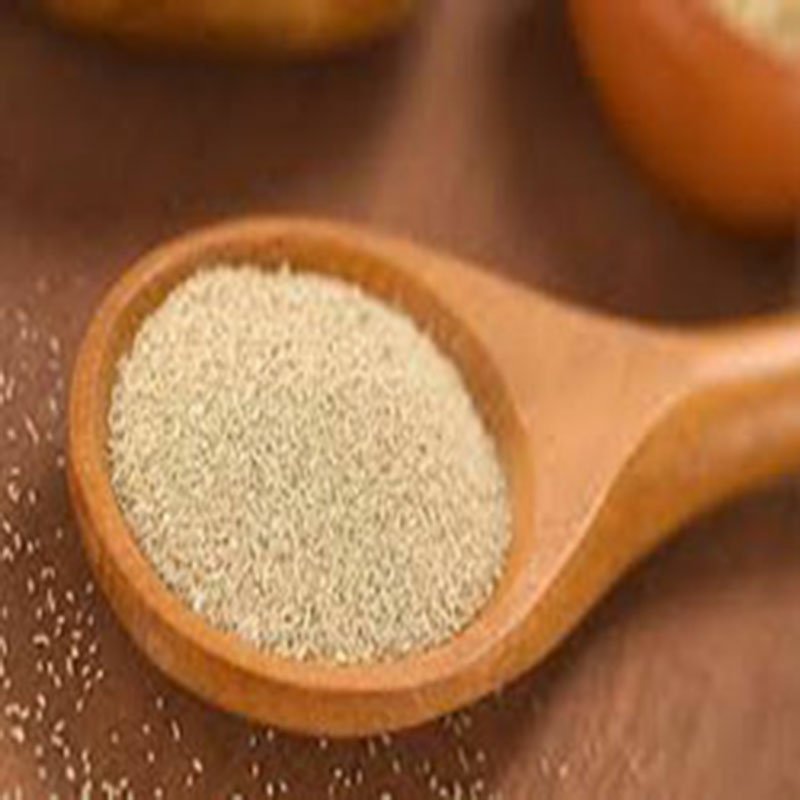 خمیر مایه بسته 250 گرمی(مخمر)