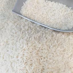 برنج هاشمی سه الکه