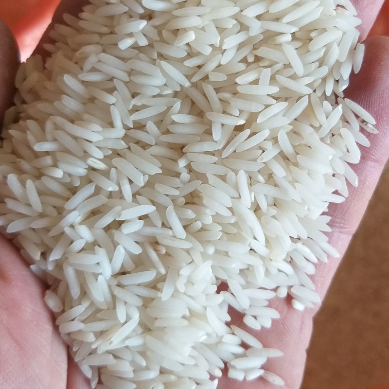 برنج صدری محلی آستانه دو و نیم کیلویی