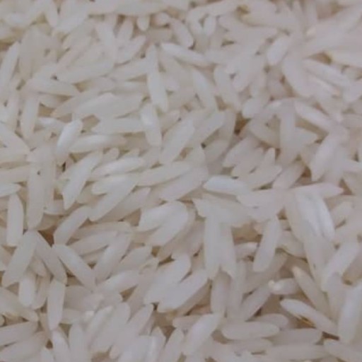 برنج شیرودی اعلا 10کیلویی
