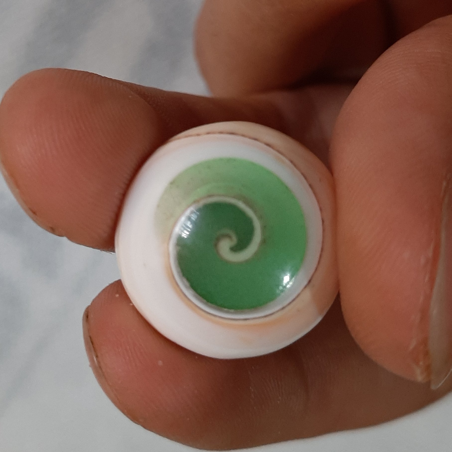 گوهر شب چراغ