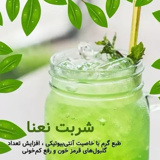 شربت نعناع 100٪ طبیعی کاشان (1300 گرم)