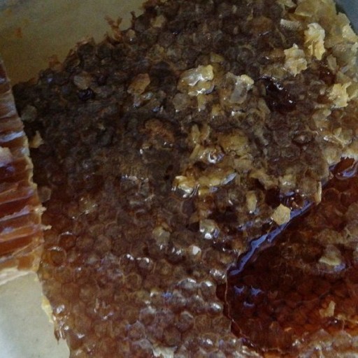 عسل طبیعی سبلان با ساکاروز 1 درصد تخفیف ویژه