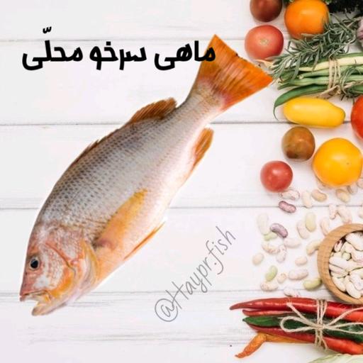 ماهی سرخو محلی)حمرو(