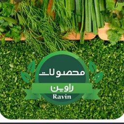 سبزی خرد شده کوکو راوین