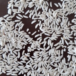 برنج هاشمی بدون الک 10 کیلوگرم