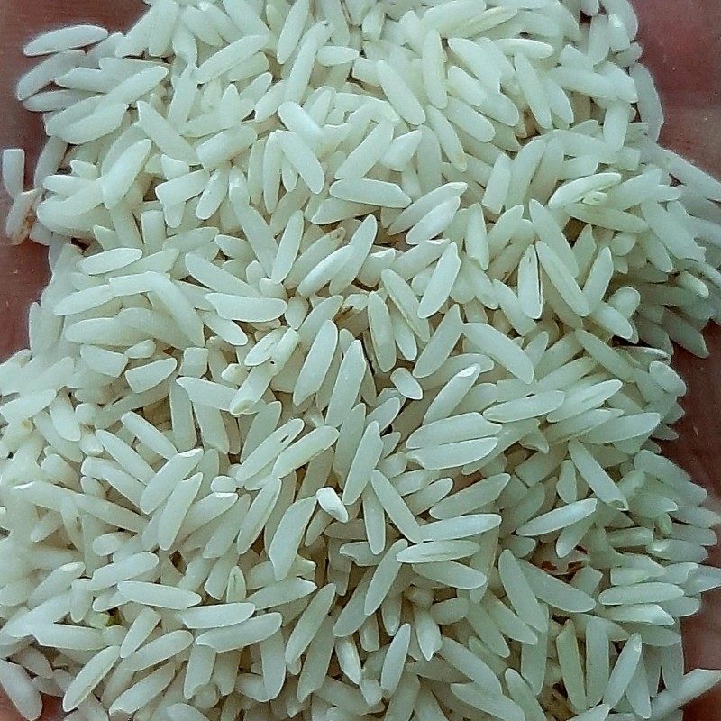 برنج هاشمی غرب گیلان ده کیلویی فوق العاده معطر