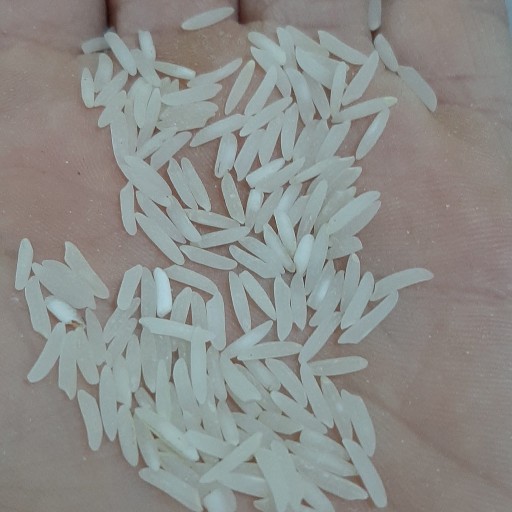 برنج فجر ده کیلویی درجه یک