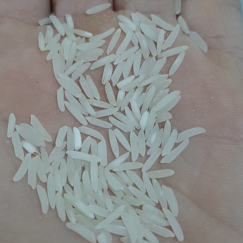 برنج فجر ده کیلویی درجه یک
