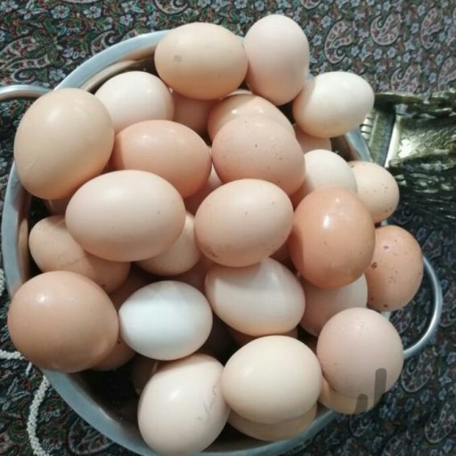 تخم مرغ محلی (9تایی)