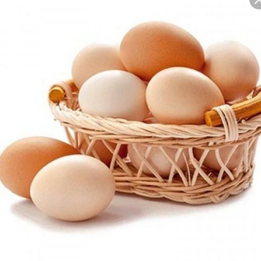 تخم مرغ محلی (9تایی)