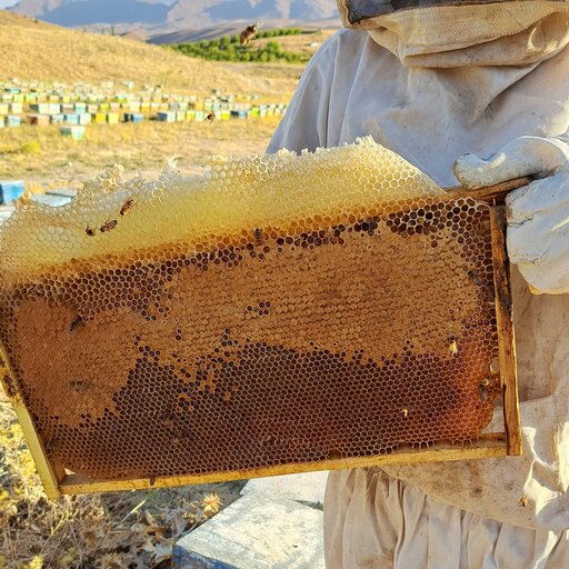 عسل طبیعی کوهی چند گیاه بهاره  1000 گرمی اصل بدون موم نجم