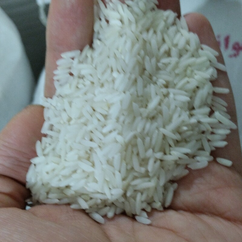 برنج کشت دوم درجه یک 