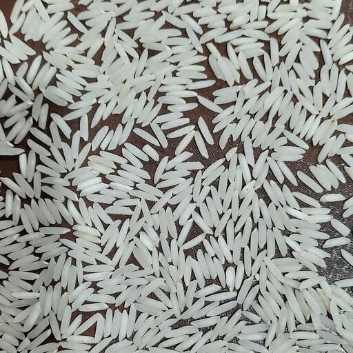 برنج سرگل محصول 1402 در انواع بسته بندی هزینه ارسال به عهده مشتری پسکرایه