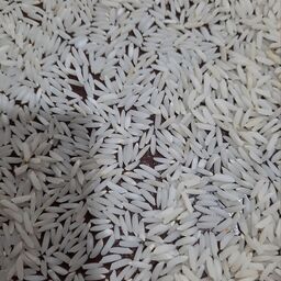 برنج طارم عطری  10کیلوئی محصول 1401