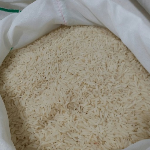 برنج شیرودی(10)کیلویی