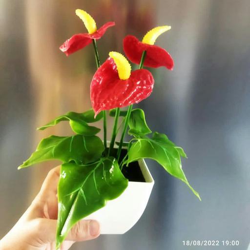 گلدان گل آنتریوم قرمز خمیری (3تا گل و 6تا برگ)     .
