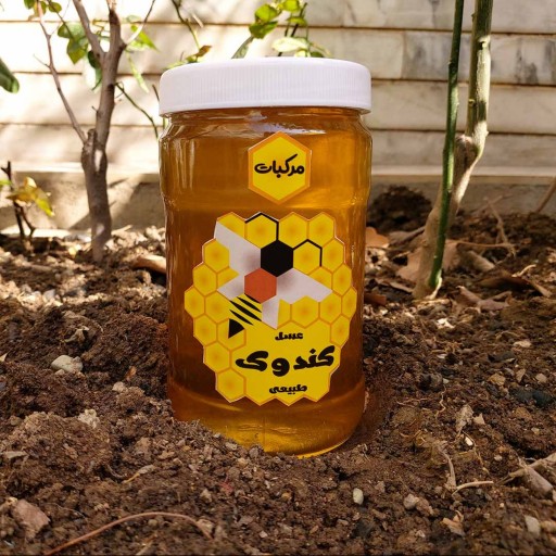 عسل مرکبات(بهارنارنج) 1 کیلویی
