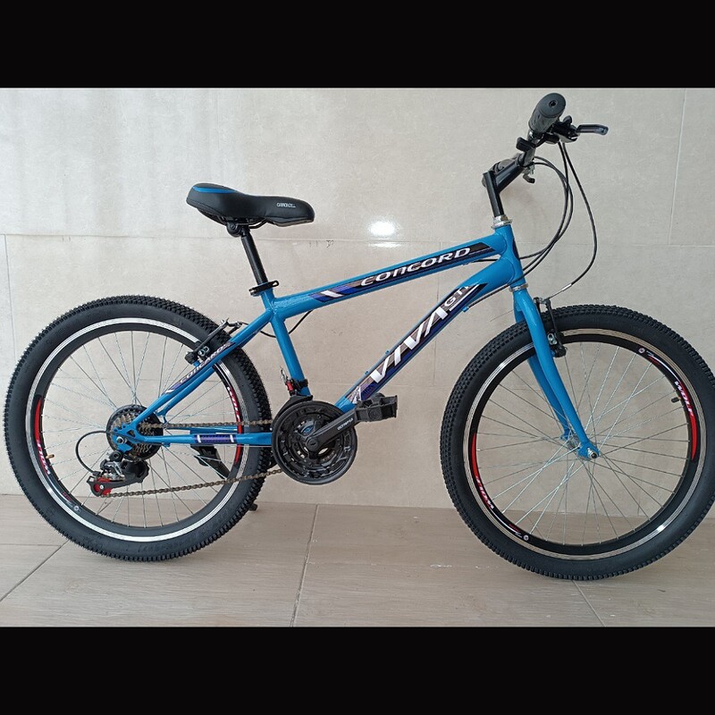 دوچرخه سایز 24 دنده کلاجدار   (ارسال رایگان) رنگ آبی 