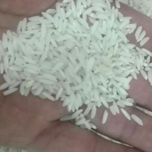 برنج علی کاظمی گیلان 50 کیلویی 