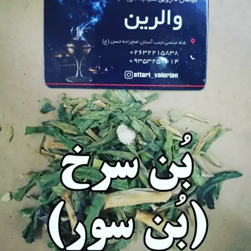 بوسور(بن سرخ) بنصور کوهی اصل