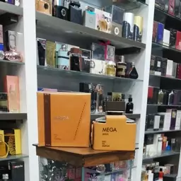 عطر و ادکلن مردانه مگا برند فلاویا ( FLAVIA - MEGA MAN )