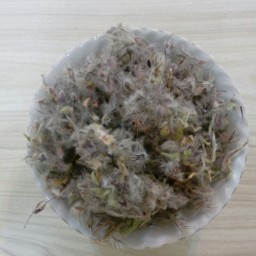 گیاه چای کوهی 100گرمی