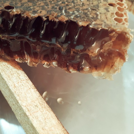 عسل موم دار خودبافت👌🏼 طبیعی و خالص زاگرس (700 گرم)
