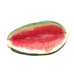 بذر هندوانه کنگو 10 عددی