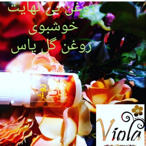 روغن معطر گل یاس آرامش بخش ویولا 50 میلی