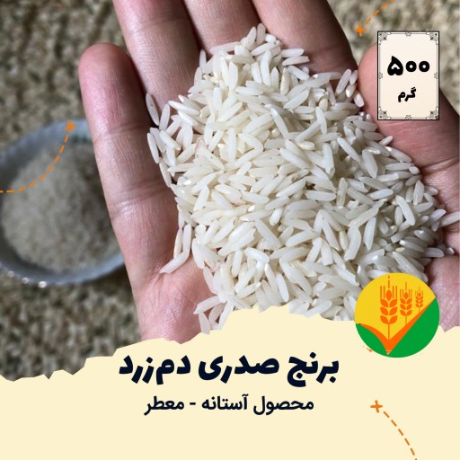 نمونه برنج صدری دم‌زرد آستانه اشرفیه، سورت‌شده و الک‌شده؛ بسته 500 گرمی