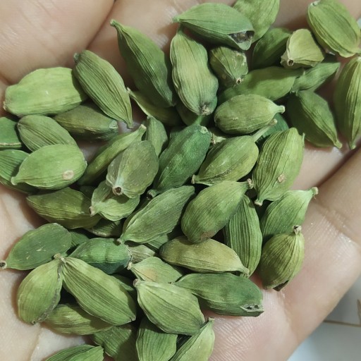 هل دانه درشت اکبر بهترین نوع هل موجود در بازار. تازه ترین هل موجود در بازار با بسته بندی در وزن های مختلف