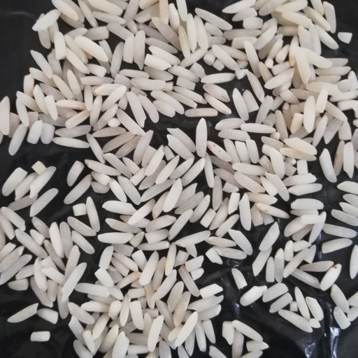 نمونه یک کیلویی برنج طارم هاشمی کشت پارسال