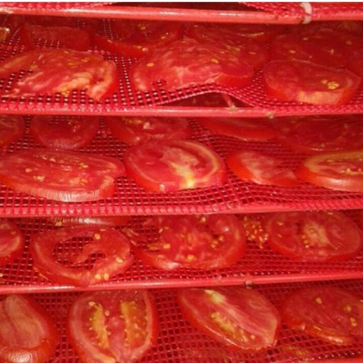 پودر گوجه فرنگی 100 گرمی آسا