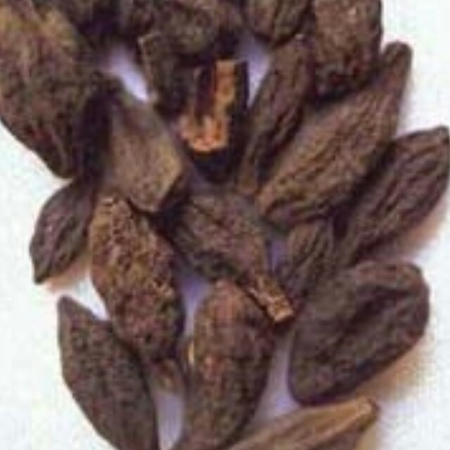 هلباد 50 گرمی آسا